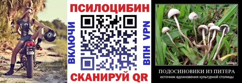 KRAKEN tor  Киров  Псилоцибиновые грибы прущие грибы  цены  